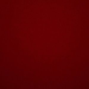 Meet your Posher, Gracie